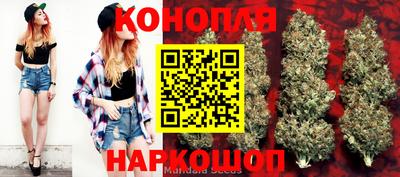 PSILOCYBIN Бугуруслан