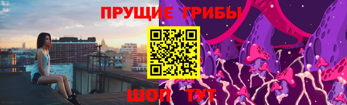 Павлово  Галлюциногенные грибы Cubensis  Вход с VPN 